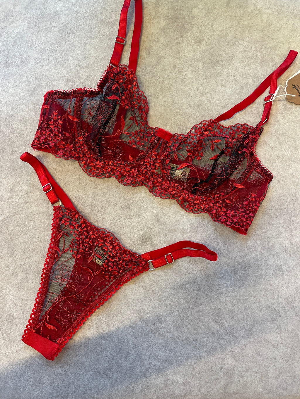 Embroidered floral & Heart Mesh Underwear Set